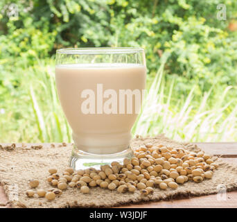 Sojamilch, Soja Milch, in Glas zu trinken. Stockfoto