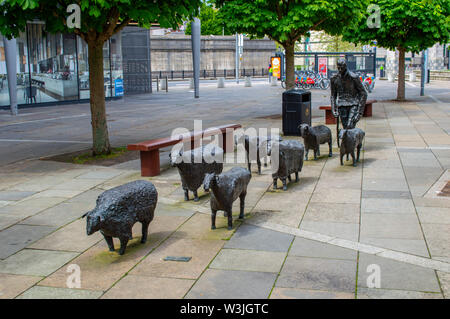 Schafe auf der Straße Statuen in Belfast, Nordirland Stockfoto