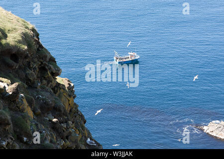 Ein fischtrawler draußen auf dem Meer in der Nähe von Sumburgh Head in Shetland, nördlich von Schottland, Großbritannien. Stockfoto