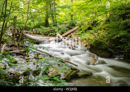 Wasserkaskaden über Baumstämme und Felsen in einem kleinen malerischen Stream und kleinen Wasserfall, umgeben von einem üppigen grünen Wald hinter Walters Falls umgeben. Stockfoto