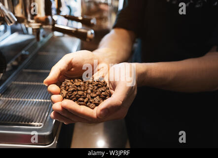 Barista Mann, frisch geröstete Kaffeebohnen in den Händen in der Nähe von professionelle Kaffeemaschine Stockfoto