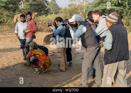 PUSHKAR, INDIEN - 14. NOVEMBER 2018: Fotograf Aufnahmen auf der Mela, Pushkar Pushkar Camel Camel Fair. Viele Fotografen aus der ganzen Welt si Stockfoto