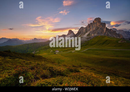 Sonnenuntergang im Sommer am Passo di Giau mit Blumen im Vordergrund, Dolomiten, Italien Stockfoto