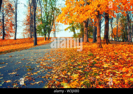 Herbst Landschaft - Vergilbter Bäume und gefallenen Blätter im Herbst im City Park Alley in sanften Morgenlicht. Farbenprächtige Herbstlandschaft Szene in vintage Töne Stockfoto