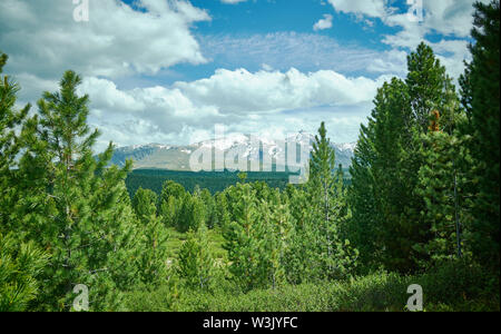 Ulagansky Pass, Altai Gebirge Stockfoto