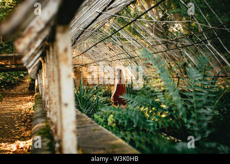 Woma touristische Ausflüge in ein tropisches Gewächshaus mit palmfarnen im La Concepcion Historical-Botanical Garten, Malaga, Spanien im Hinblick auf die Außen- und Stockfoto