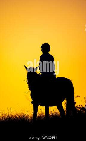 Bulgarien Juli 2019: Reiten in der saker Berge für die Saka Falcon bei Sonnenuntergang eine der am meisten bedrohten Greifvögel in Europa suchen. Clifford Norton Alamy Stockfoto