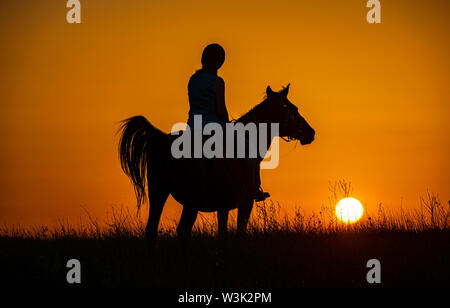 Bulgarien Juli 2019: Reiten in der saker Berge für die Saka Falcon bei Sonnenuntergang eine der am meisten bedrohten Greifvögel in Europa suchen. Clifford Norton Alamy Stockfoto