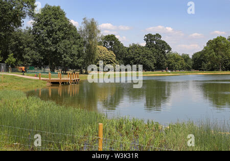 Die neuen Wilden Badesee in der wiederhergestellten Gelände des Beckenham Place Park, London, UK, in der Woche vor der Eröffnung am 20. Juli 2019 gezeigt Stockfoto