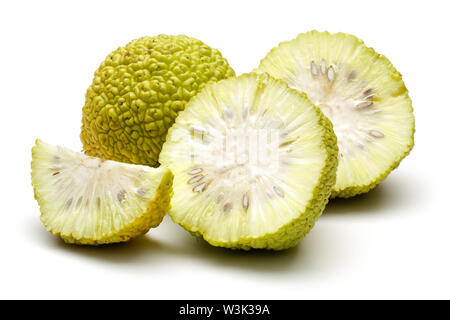Frische osage Orangen oder Maclura auf weißem Hintergrund Stockfoto