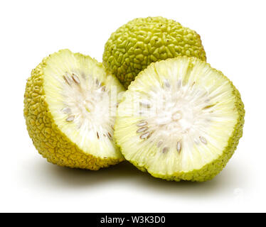 Frische osage Orangen oder Maclura auf weißem Hintergrund Stockfoto