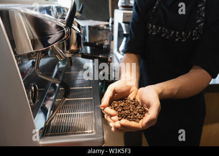 Barista Mann halten frisch gerösteten Kaffeebohnen in den Händen in der Nähe von professionelle Kaffeemaschine stehend Stockfoto