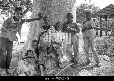 Verschiedene Menschen sind in Tansania und Sansibar, Afrika einschließlich Anbieter, Frauen, Männer, boys, Bettler, muslimischen, Masai und Touristen im Juni 2019 gesehen. Stockfoto