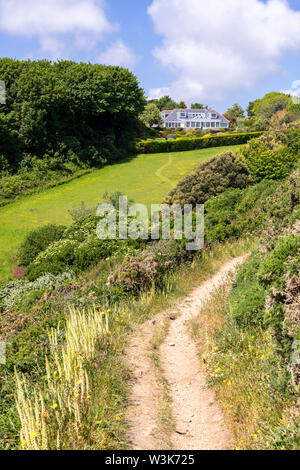Die schöne zerklüftete Südküste von Guernsey, Channel Islands UK - wilde Blumen neben dem Küstenweg führt zu Petit Bot Bay Stockfoto