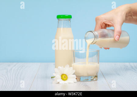 Woman's Hand gießt Milch in ein Glas. Flasche frische Milch mit Kamille Blume auf Holz- und blauem Hintergrund. Stockfoto