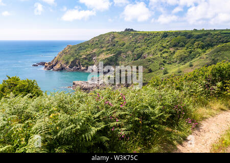 Die schöne zerklüftete Südküste von Guernsey, Channel Islands UK - wilde Blumen neben dem Küstenweg führt zu Petit Bot Bay Stockfoto