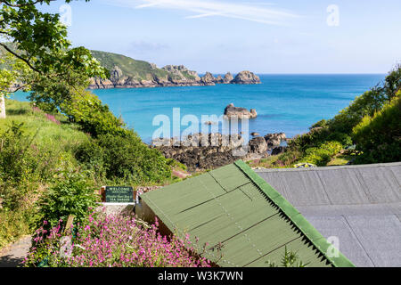 Die schöne zerklüftete Südküste von Guernsey - ein Blick auf die Moulin Huet Bay von oberhalb der Teegärten, Guernsey, Kanalinseln, Großbritannien Stockfoto