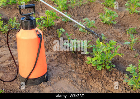 Gärtner ist Schutz der Kartoffel Pflanzen aus pilzlichen Krankheiten oder Schädlinge mit Druck Sprüher im Garten. Stockfoto