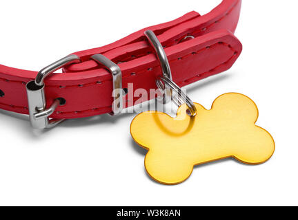 Red Dog Halsband mit Gold Dog Tag isoliert auf Weiss. Stockfoto