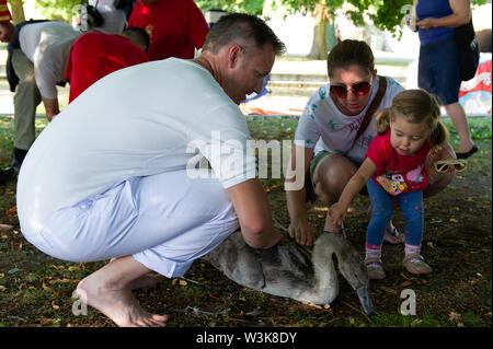 Tag Zwei der Swan Upping, Royal Borough of Windsor und Maidenhead, Berkshire, Großbritannien. 16. Juli, 2019. Ein kleines Mädchen bekommt Schlaganfall ein Cygnet in Windsor zu. Swan Upping ist die traditionelle britische jährliche Volkszählung von Schwänen und cygnets Auf der Themse von der Royal Swan zusammen Oberteil mit dem Swan Oberteil von der Winzer und Dyers' Livery unternehmen. Credit: Maureen McLean/Alamy leben Nachrichten Stockfoto