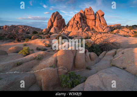 Joshua Tree National Park, Mojave Wüste, Kalifornien, USA. Jumbo Rocks bei Sonnenuntergang. Wunderschöne Landschaft Hintergrund. Felsbrocken Bereich Stockfoto