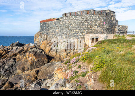 Meer Sparsamkeit oder Meer rosa an der Küste neben Fort Doyle gebaut Anfang des 19 C als Schutz vor einer französischen Invasion., Fontenelle Bay, Guernsey, Großbritannien Stockfoto