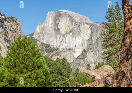 Half Dome gesehen vom Yosemite Valley. Yosemite Nationalpark, Kalifornien, USA. Stockfoto