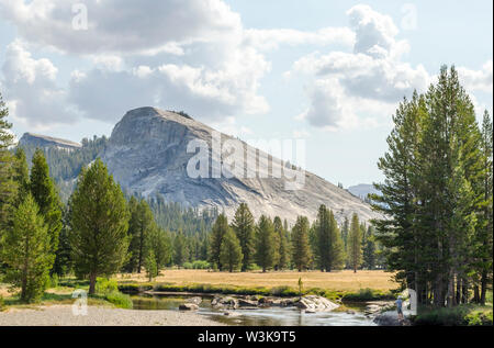 Lembert Dome. Yosemite Nationalpark, Kalifornien, USA. Stockfoto