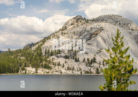 Tenaya Lake. Yosemite Nationalpark, Kalifornien, USA. Stockfoto