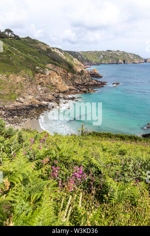 Auf der Suche nach unten von der Küste weg auf Petit Bot Bay auf der schönen robusten Südküste von Guernsey, Kanalinseln, Großbritannien Stockfoto