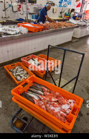 Der Fischmarkt in Olhão ist der größte Fischmarkt in der Algarve, Portugal Stockfoto