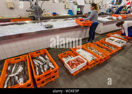 Der Fischmarkt in Olhão ist der größte Fischmarkt in der Algarve, Portugal Stockfoto