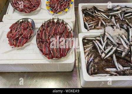 Der Fischmarkt in Olhão ist der größte Fischmarkt in der Algarve, Portugal Stockfoto