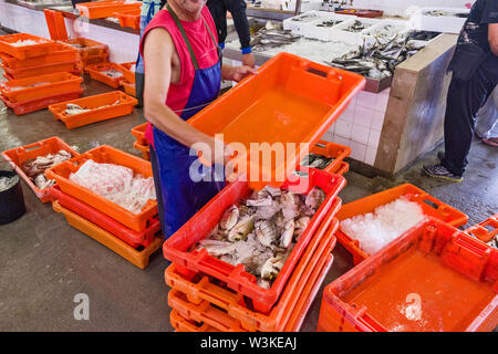 Der Fischmarkt in Olhão ist der größte Fischmarkt in der Algarve, Portugal Stockfoto