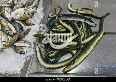 Der Fischmarkt in Olhão ist der größte Fischmarkt in der Algarve, Portugal Stockfoto