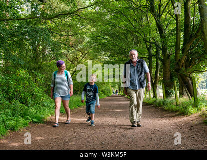 Drei generation Familie gehen mit Großvater, Enkel, Vater und Tochter, Mutter und Sohn, Tyninghame, East Lothian, Schottland, Großbritannien Stockfoto