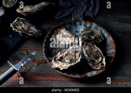 Geöffnet frische Austern auf einem dunklen Hintergrund, ein Messer und Wassertropfen. Rostik Stil. Stockfoto