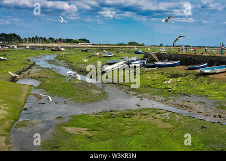 Hampshire, UK. Segeln Boote bei gosport Hafen bei Ebbe in den Sommer mit Black-headed Möwen fliegen herum auf der Suche nach Nahrung verankert. Stockfoto