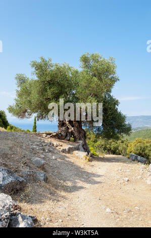 Alten Gleichen in der Nähe von Sami, Kefalonia, Ionische Inseln, Griechenland, Europa Stockfoto