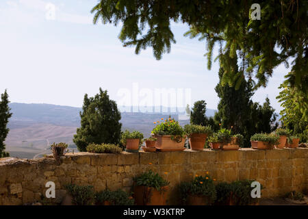 Blick über das Val d'Orcia in Richtung Monte Amiata von über Gozzante, Pienza, Toskana, Italien: Topfpflanzen die Mauer im Vordergrund schmücken Stockfoto