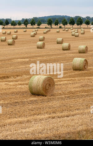 11 Juli 2019, Sachsen-Anhalt Gnadau: Strohballen liegen auf einem abgeernteten Feld. Foto: Klaus-Dietmar Gabbert/dpa-Zentralbild/ZB Stockfoto