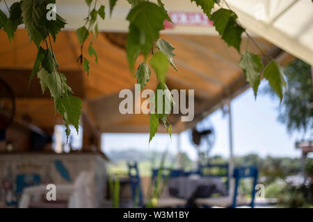 Belgrad, Serbien, 11.Juli 2019: Ein leeres Restaurant Terrasse in Zemun Stockfoto