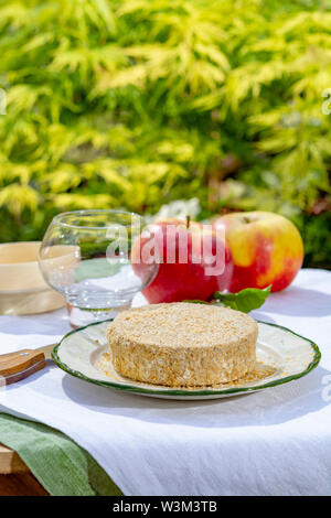 Französischer Käse Sammlung, Stück von fermentiertem Käse aus Kuhmilch Camembert au Calvados serviert mit Äpfeln außerhalb im grünen Garten in sonniger Tag Stockfoto