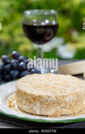 Französischer Käse Sammlung, Stück von fermentiertem Käse aus Kuhmilch Camembert au Calvados serviert mit Glas süßen roten Portwein in grün Garten Nahaufnahme Stockfoto