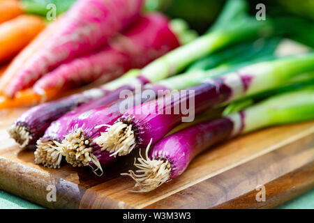 Trauben von frischem lila grüne Zwiebeln, rote lange Radieschen und Karotten, neue Ernte des gesunden Gemüses Nahaufnahme Stockfoto