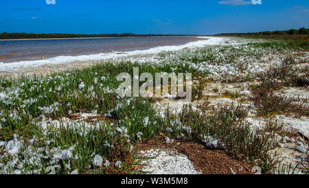 Yalgorup Nationalpark in der Nähe von Mandurah, Western Australia Stockfoto