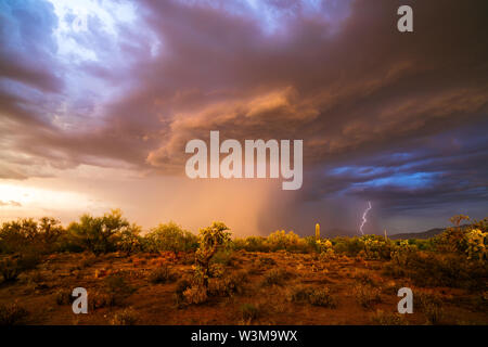 Ein Monsun-Gewitter mit Blitzen, dunklen Wolken und starkem Regen zieht durch die Wüste in der Nähe von Santa Rosa, Arizona Stockfoto