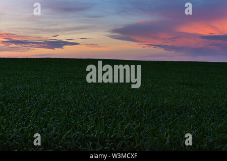 Im ländlichen Illinois an einem schönen Sommerabend der Dämmerung. LaSalle County, Illinois, USA Stockfoto