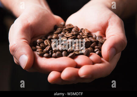 Geröstete Kaffeebohnen in hohlen Hände des Menschen Stockfoto