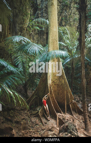 Junge Frau im Badeanzug lehnte sich auf großen Baum in Krabi, Thailand Stockfoto